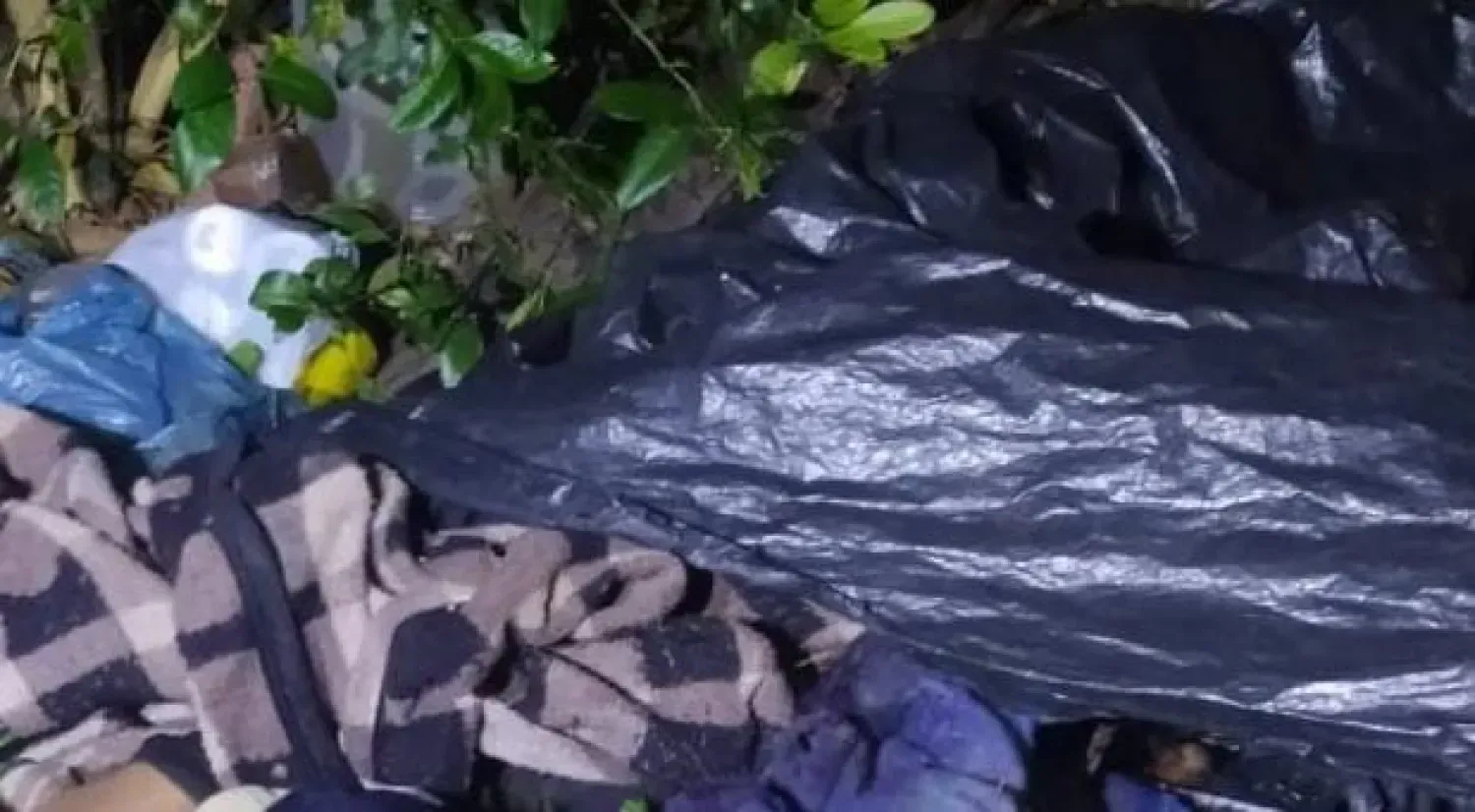 Hallan el cuerpo sin vida de una mujer en un establecimiento ganadero de Bella Vista Norte