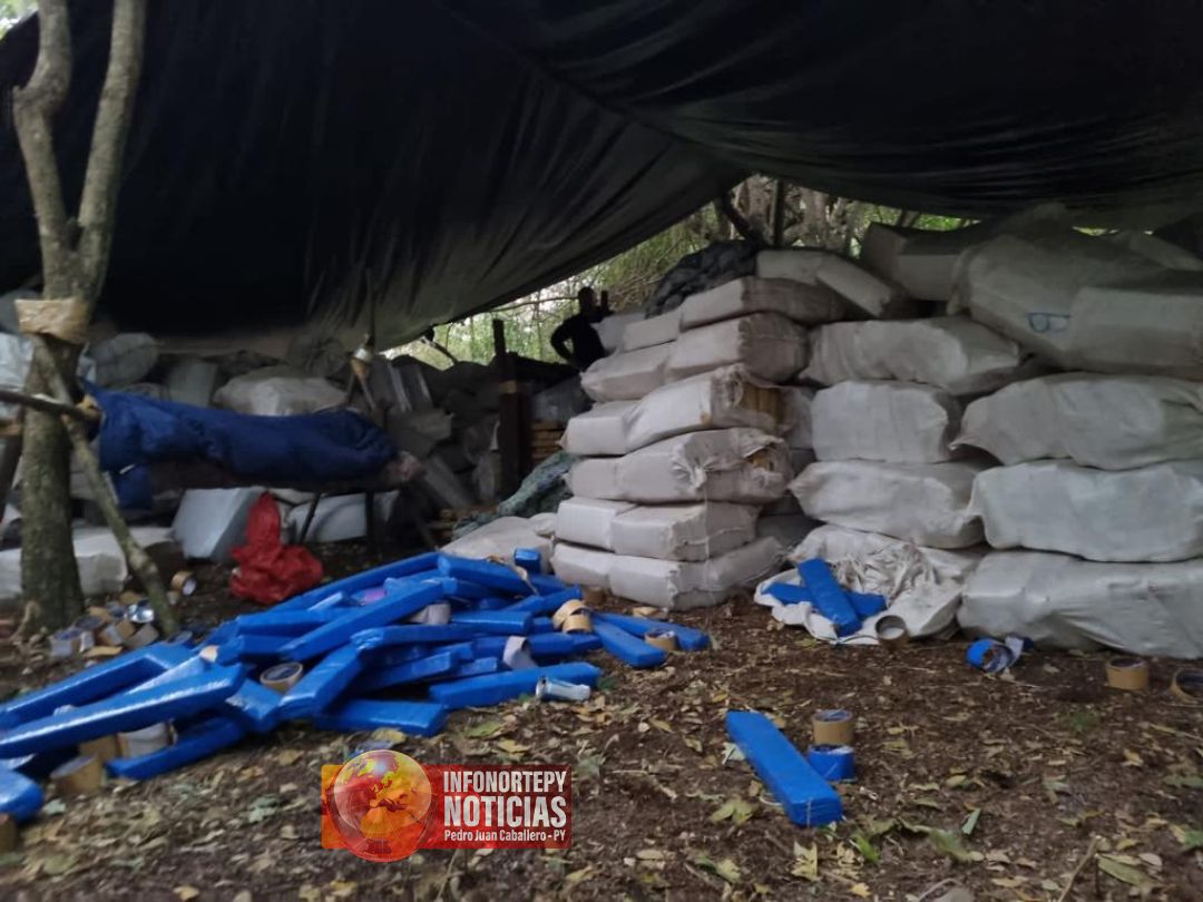Mas de 20 toneladas de marihuana fue incautada por la SENAD en Pedro Juan