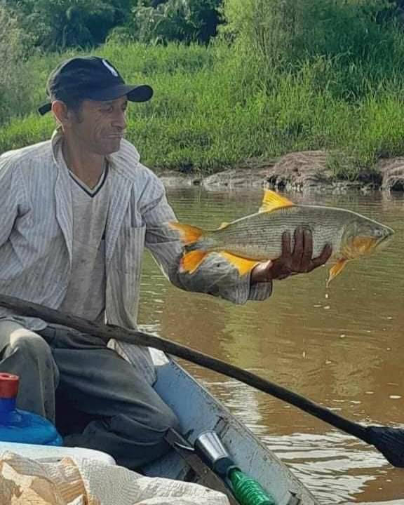 Río Aquidabán: mortandad de peces preocupa a pobladores y piden intervención