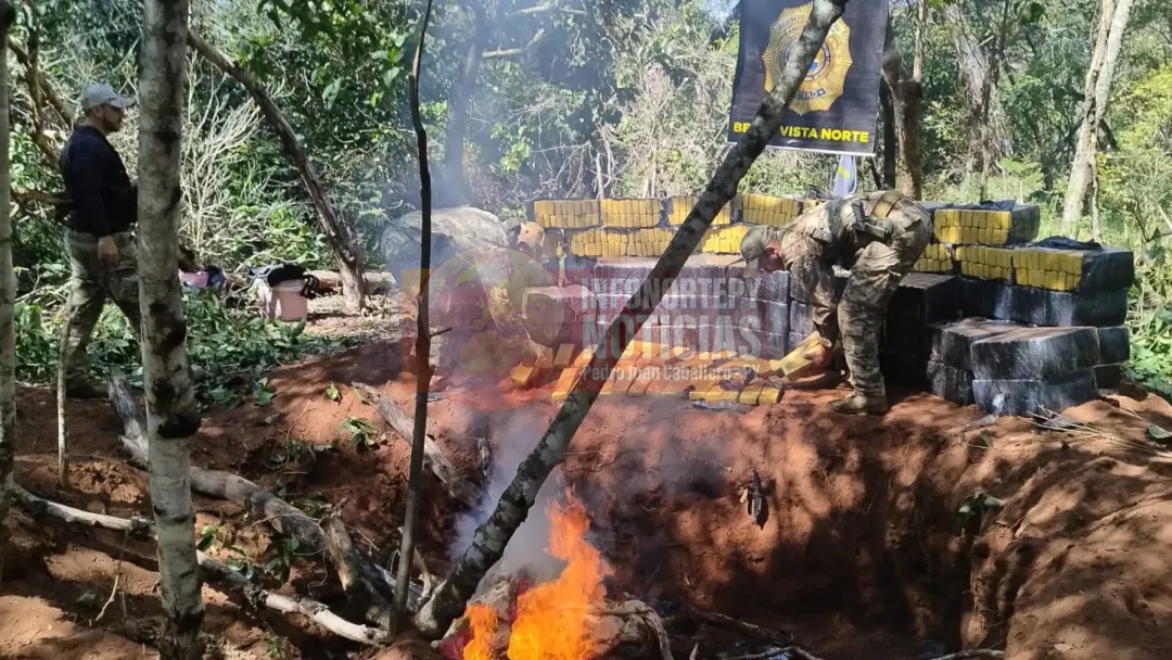 Destruyen alrededor de 7.000 kilos de marihuana en reserva forestal de ALPASA