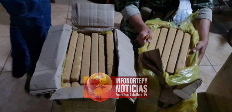 Senad incauta más de 300 kilos de marihuana en encomiendas en Concepción