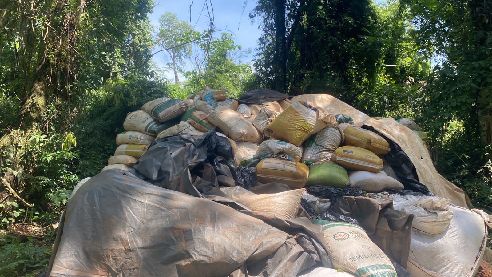 Culminó mega operativo conjunto con más de 327 toneladas de marihuana eliminadas