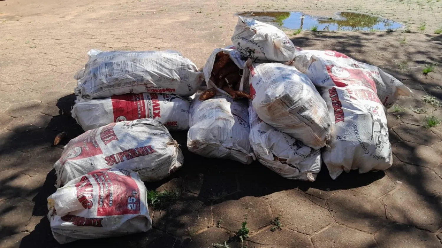 Cae en Pedro Juan un brasileño con una carga de mandioca proveniente desde su país