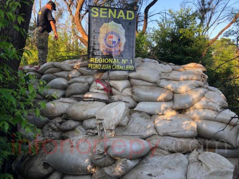 SENAD incautó más de 30 Toneladas de Marihuana en zona Capitán Bado
