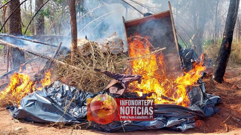 Senad destruyó más de 6.000 kilos de marihuana en zona de Capitán Bado