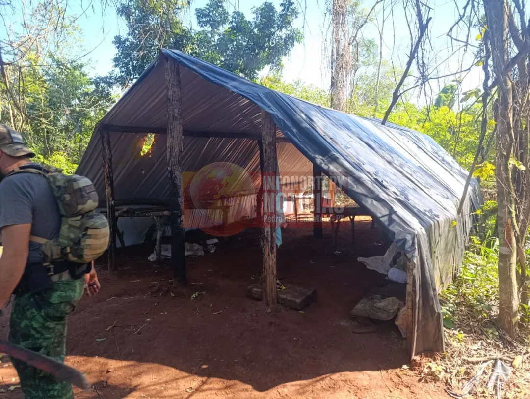 Operación Nueva Alianza: Golpe Contundente al Narcotráfico con 230 Toneladas de Marihuana Incautadas en Amambay