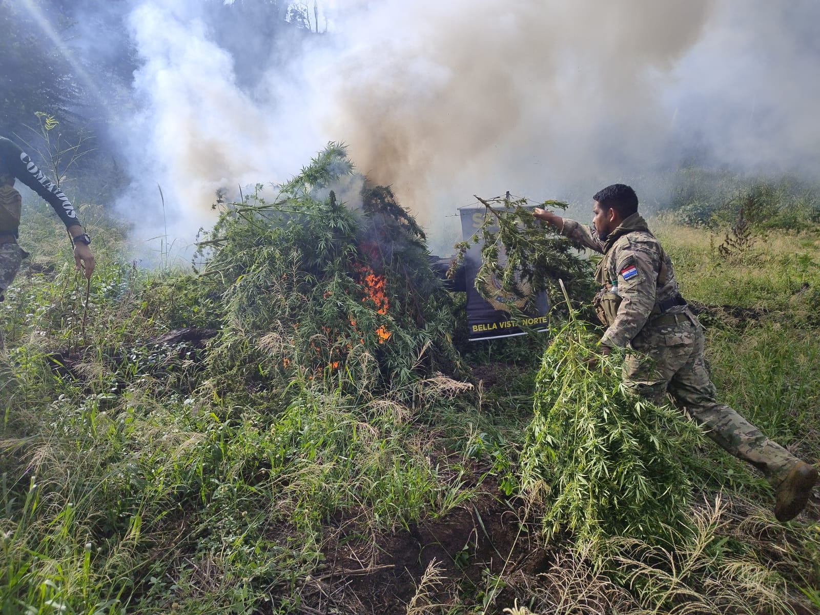 SENAD activa operativo rural y anula más de 10 toneladas de droga en Bella Vista Norte