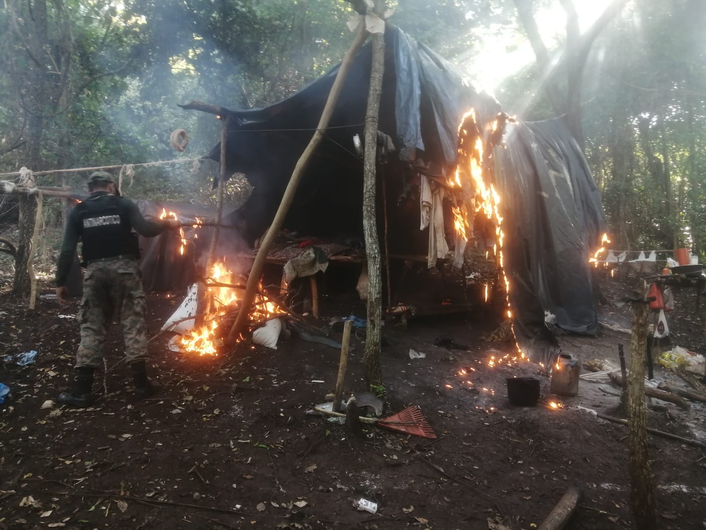 Antinarcóticos destruyo 1.600 kilos de marihuana en zona de Zanja Pyta