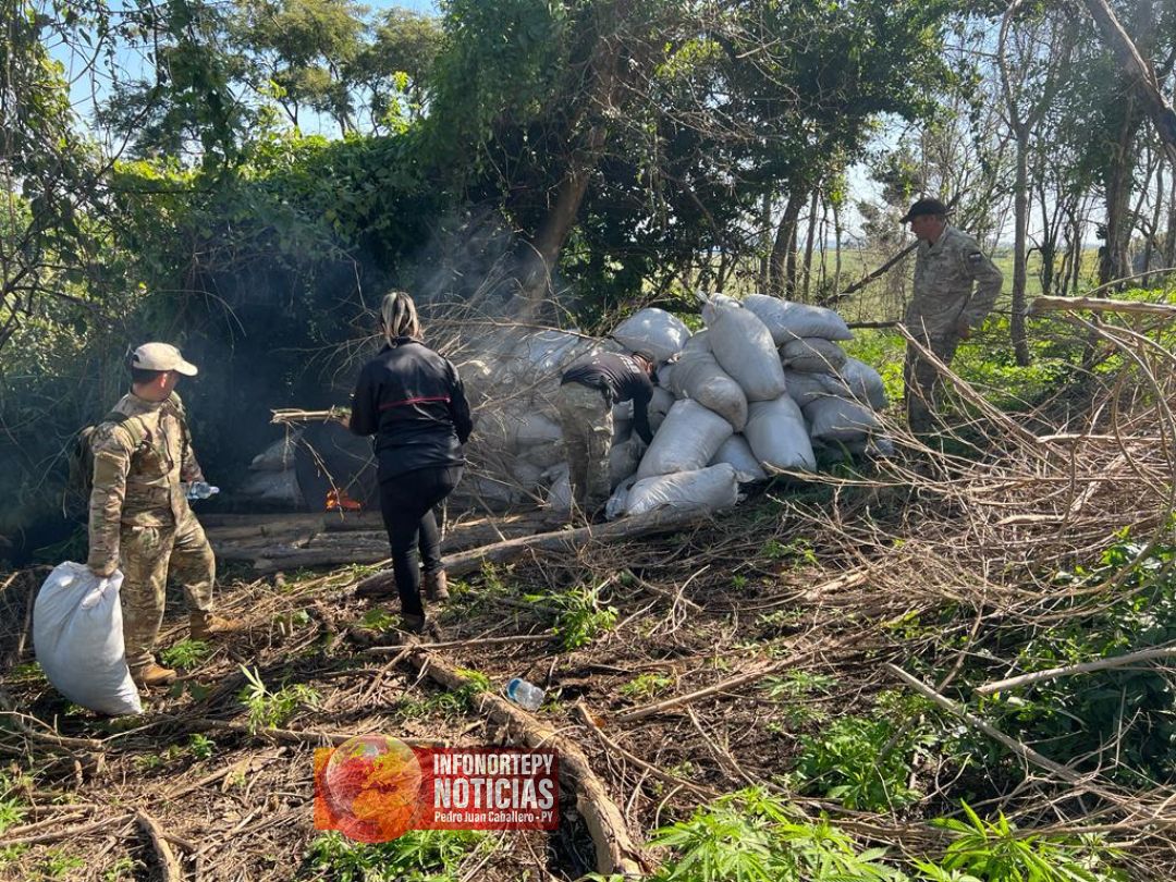 Detectan más de 5 toneladas de Marihuana en la Colonia Santa Clara