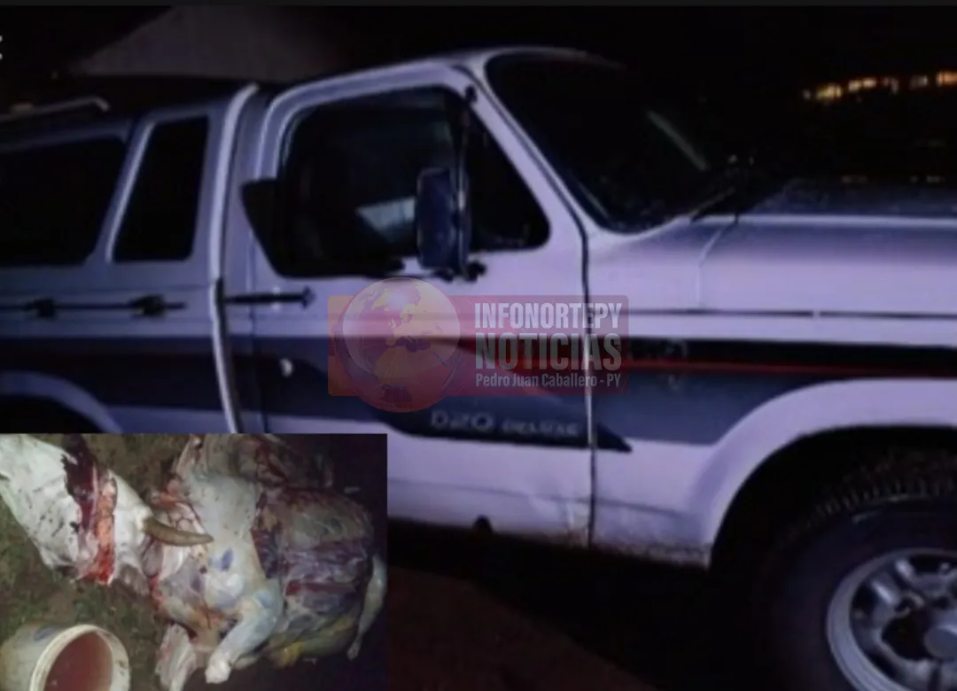 Abigeos efectuan disparos contra policías en Fortuna Guazú