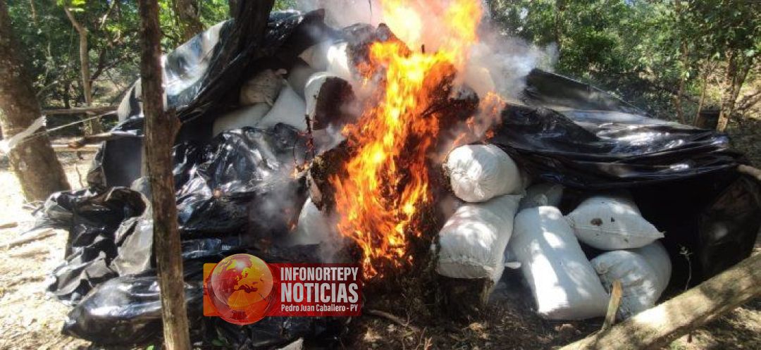 Hallan más de 11 toneladas de marihuana que serían de los atacantes de policías