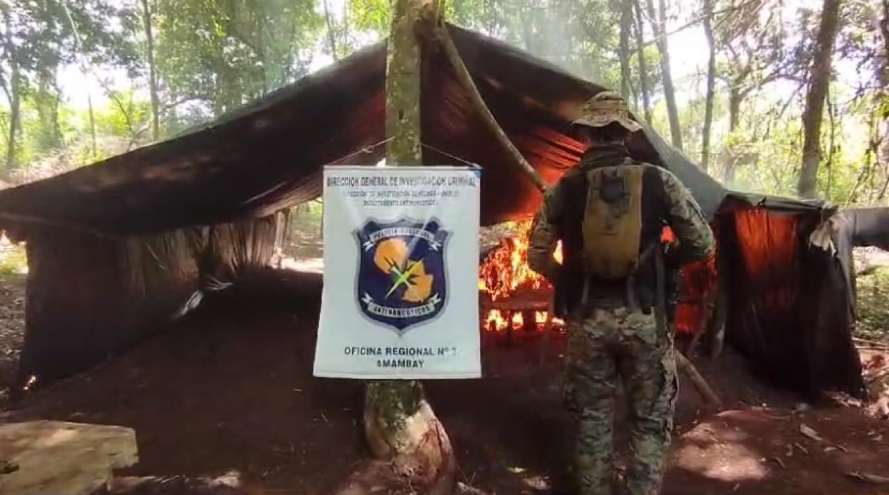 Antinarcóticos destruyó más de 20 toneladas de marihuana en Cerro Corá