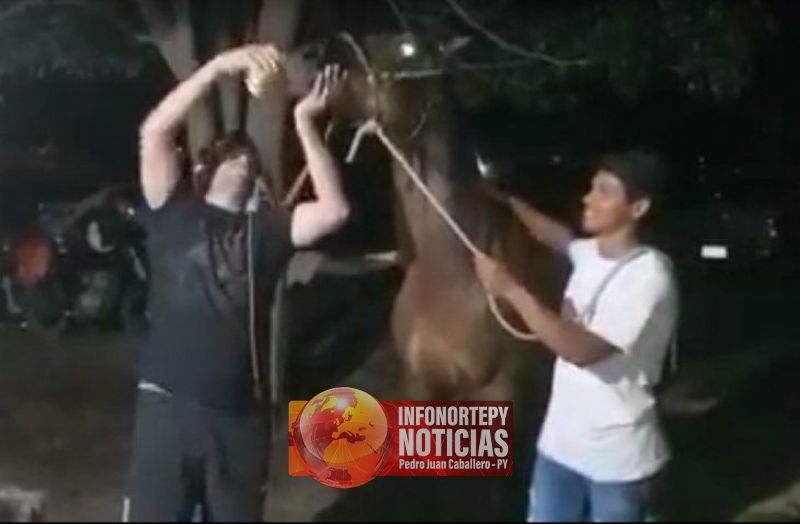 Denunciarán a policía por dar bebida alcohólica a un caballo en San Pedro
