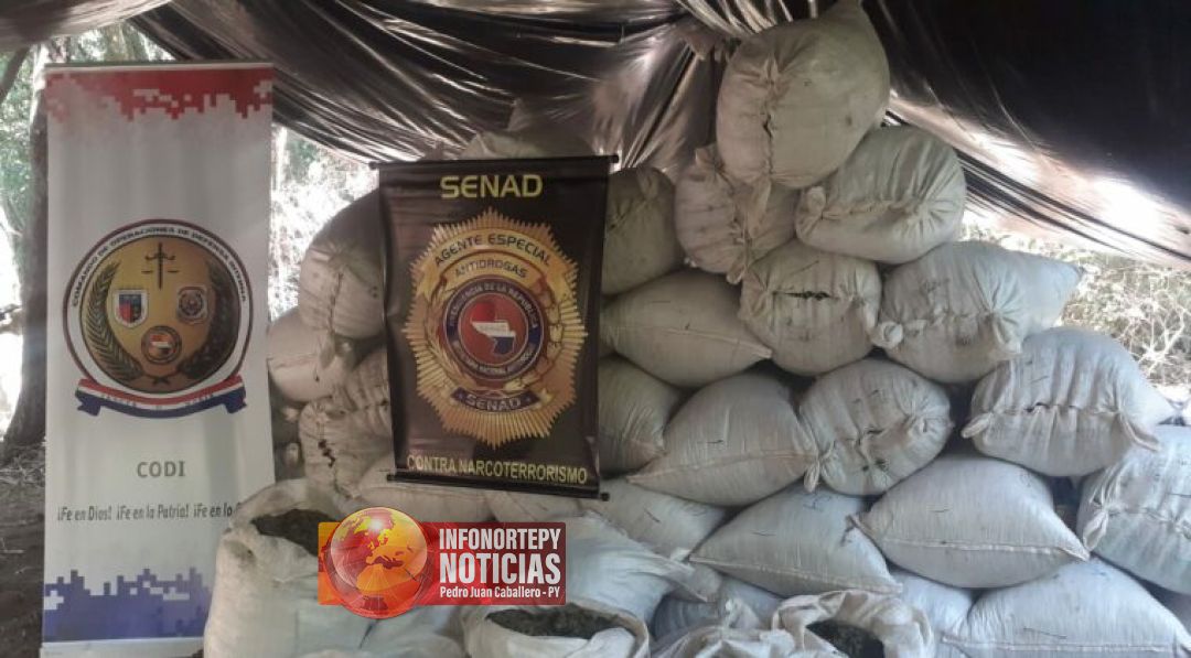 Reportan más  destrucción de 37 toneladas de marihuana en Estrella