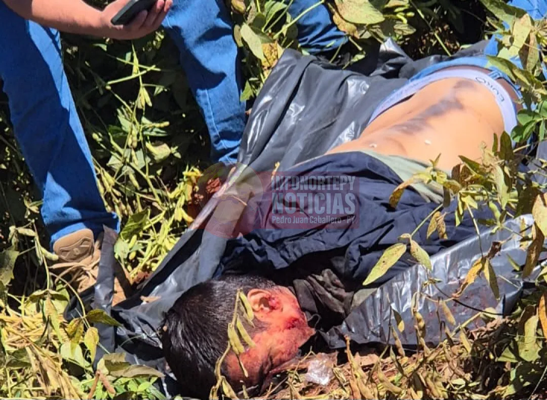 Hallan cadáver de un hombre en plantación de soja en Ponta Porá