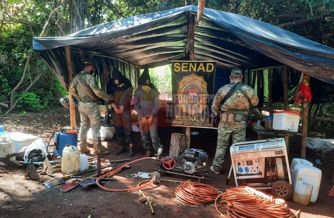 Incautan 18.000 plantines de marihuana "Scanky" y detienen a dos colombianos en Capitán Bado