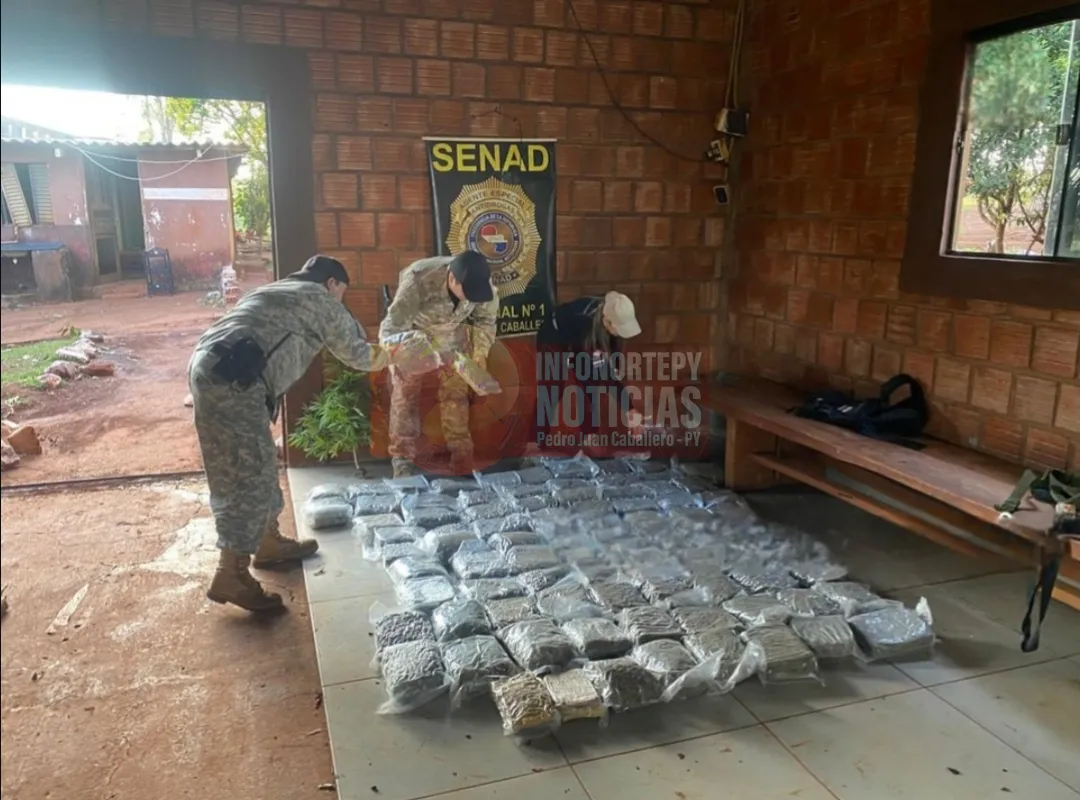Más de media tonelada de marihuana fue encontrado por la SENAD en zona de Zanja Pytã