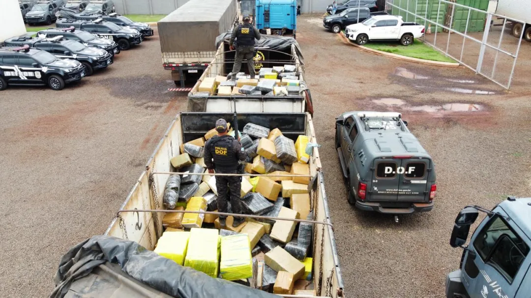 Más de 12 toneladas de marihuana son incautadas por el DOF en Aral Moreira