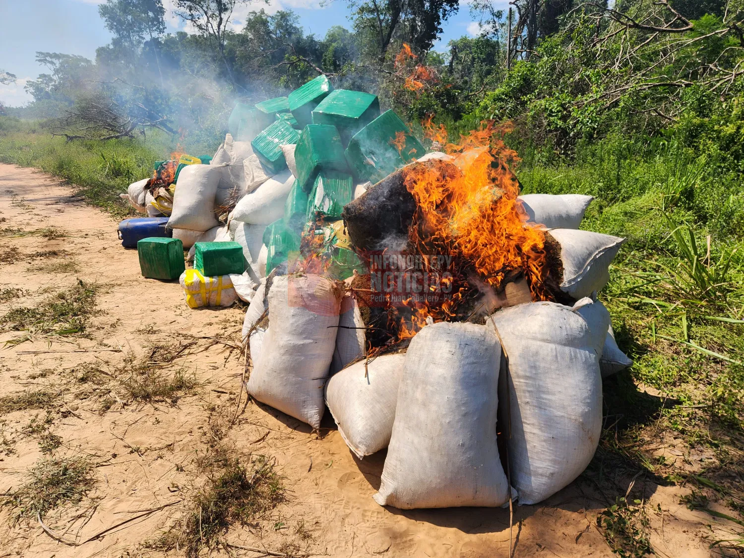 SENAD desmantela gran centro de producción de marihuana y destruye casi 8 toneladas en Yby Yaú
