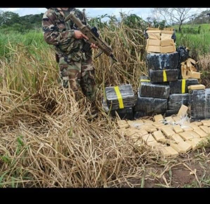 Más de media tonelada de marihuana fue destruida por la Senad