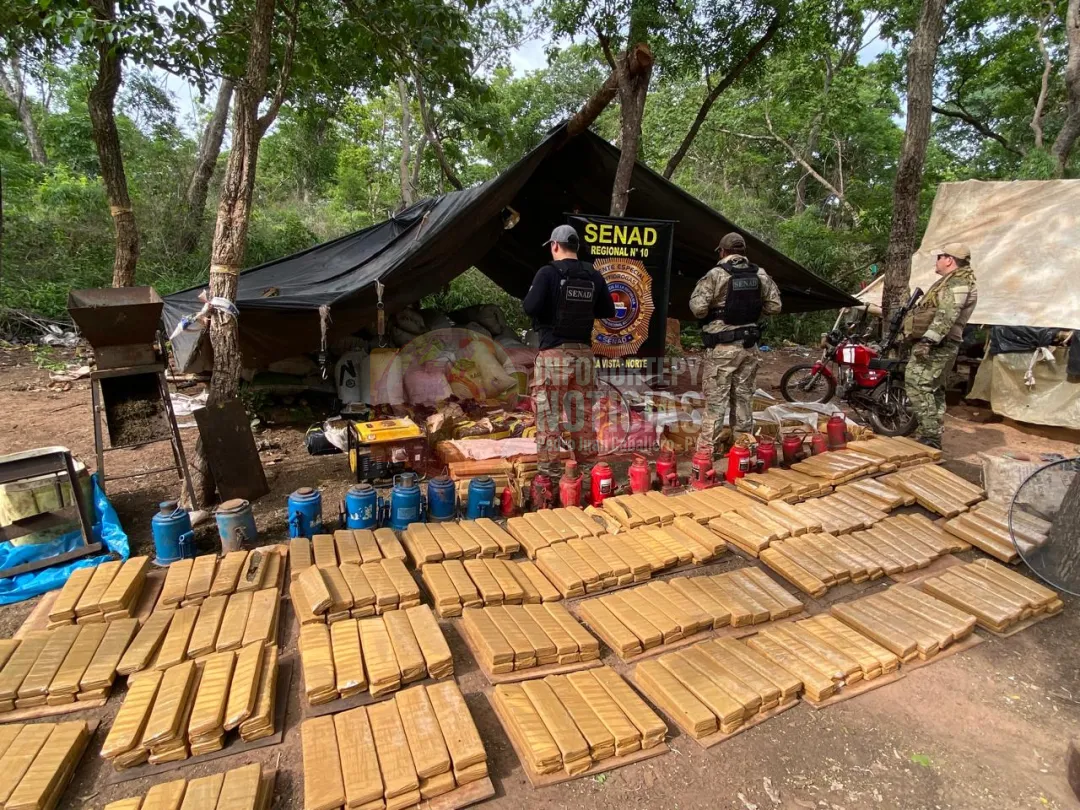 Incautan más de dos toneladas de marihuana y hallan criaderos de cerdos en campamento en Bella Vista Norte