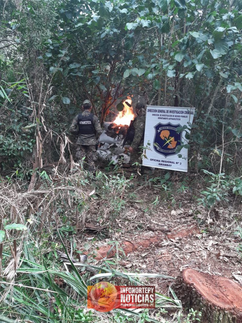 Antinarcóticos destruyeron más de 1 tonelada y media marihuana en Lorito Picada