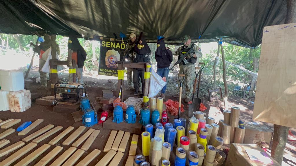 Desmantelan 15 campamento de procesamiento de marihuana en Pedro Juan