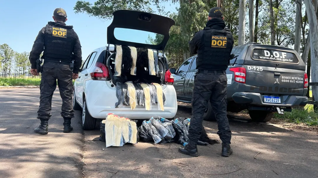 Más de 130 kilos de cabello humano son incautados por el DOF en Ponta Porã