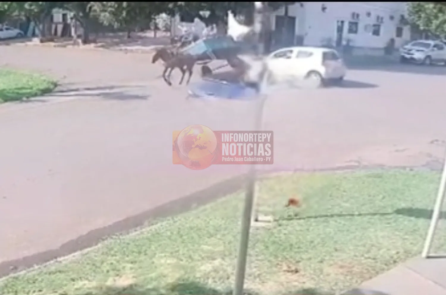 Accidente entre automóvil y carro con caballo deja dos heridos en Pedro Juan