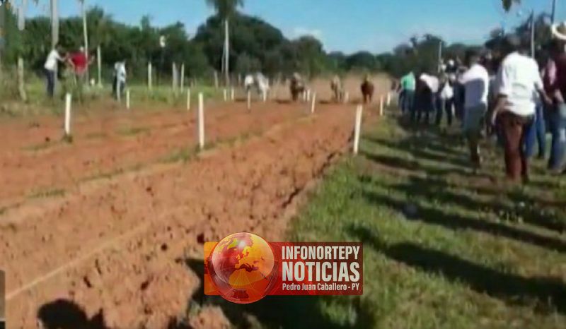 Concurrida carrera de caballos en plena pandemia en Horqueta