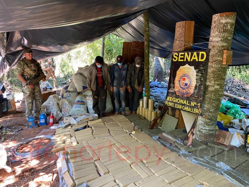 Tres detenidos y más de dos toneladas de marihuana fue destruida por la Senad en Lorito Picada