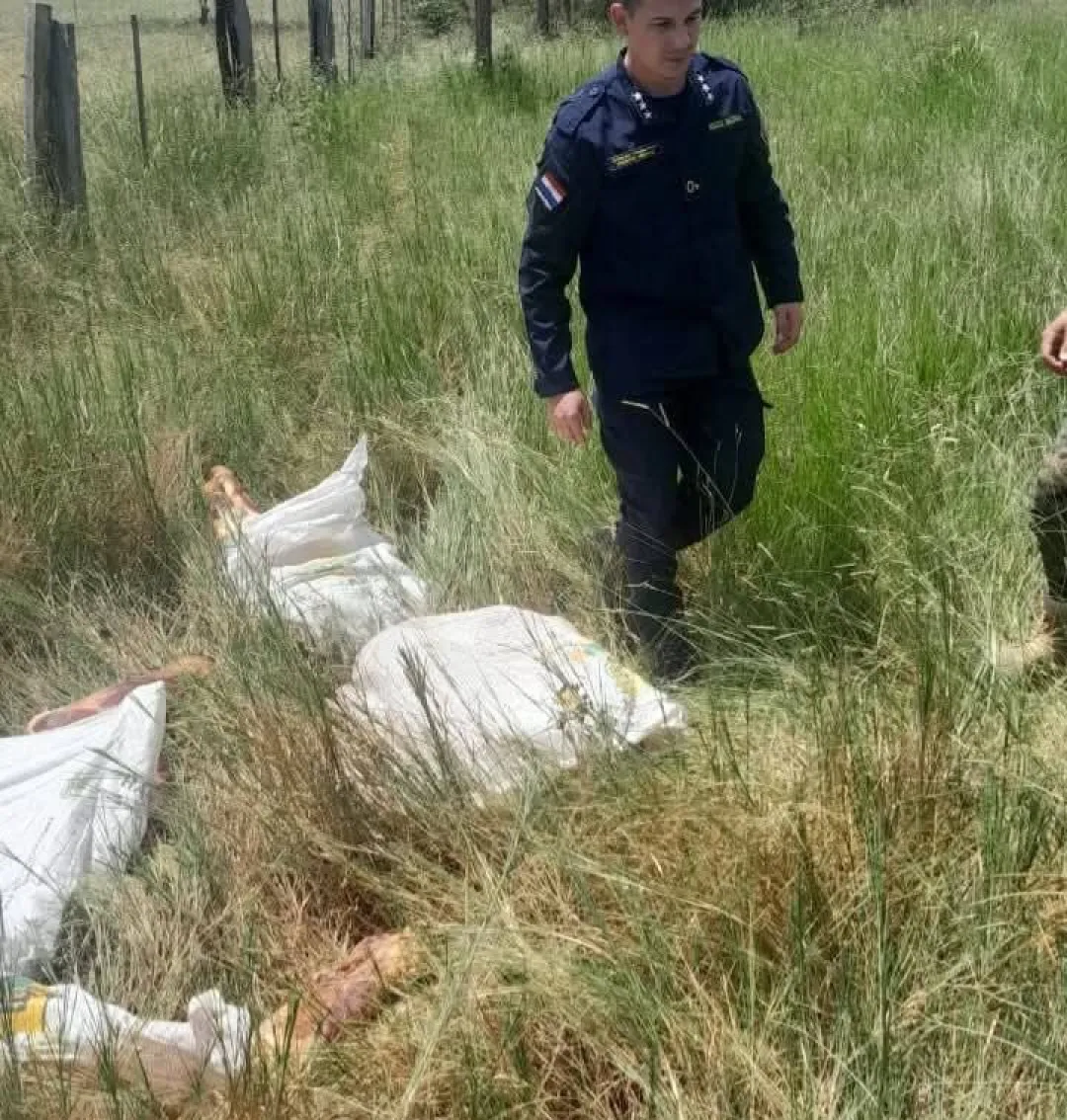 Policía recupera carne vacuna y detiene a un sospechoso de abigeato en Yby Yaú