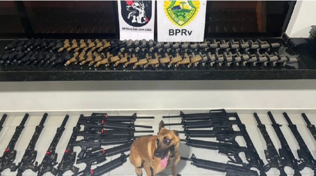 3.813 armas entre fusil, pistolas y rifles fueron vendidas en Pedro Juan.