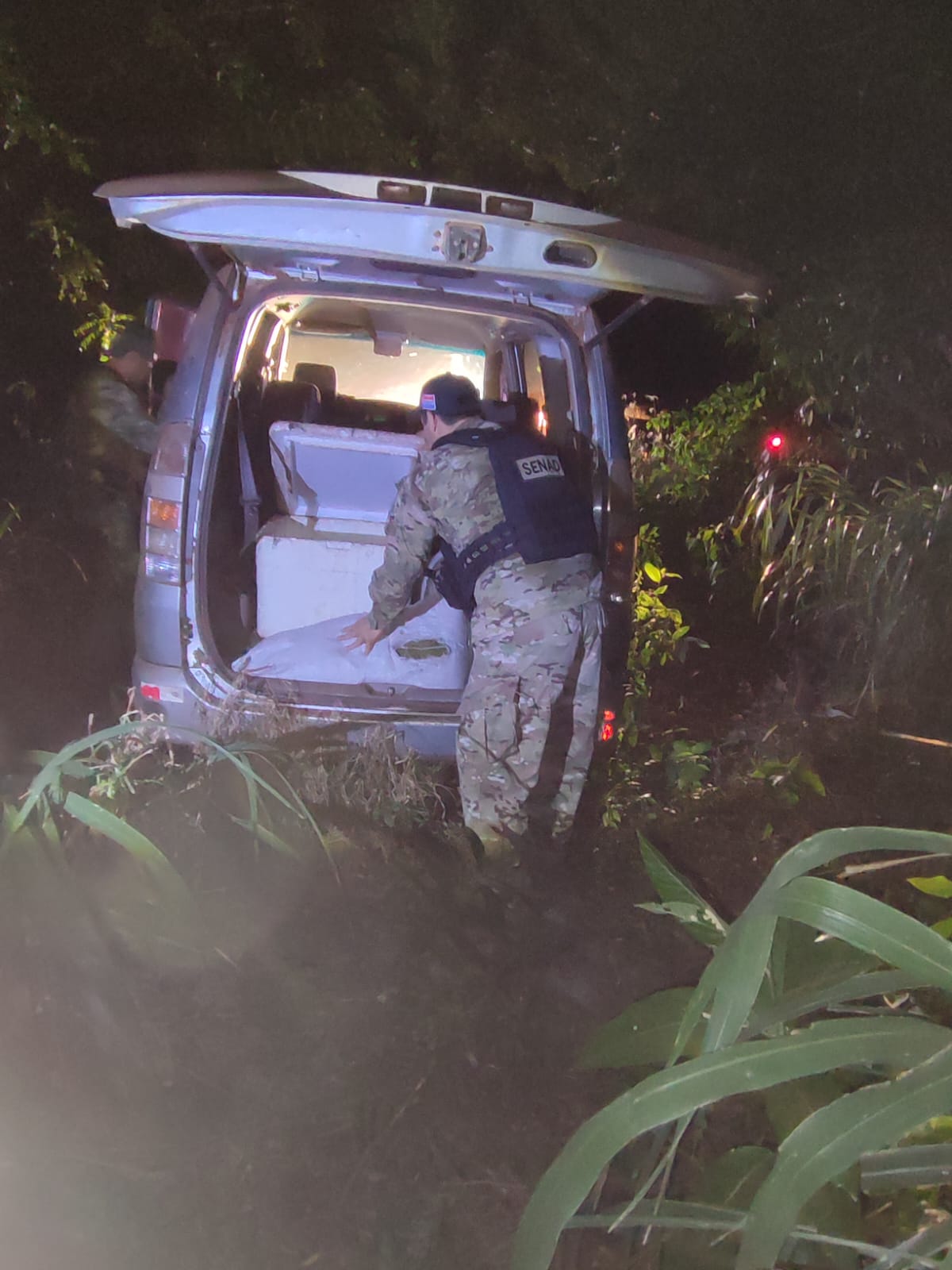 Incautan más de 9 toneladas de marihuana en zona de Pedro Juan