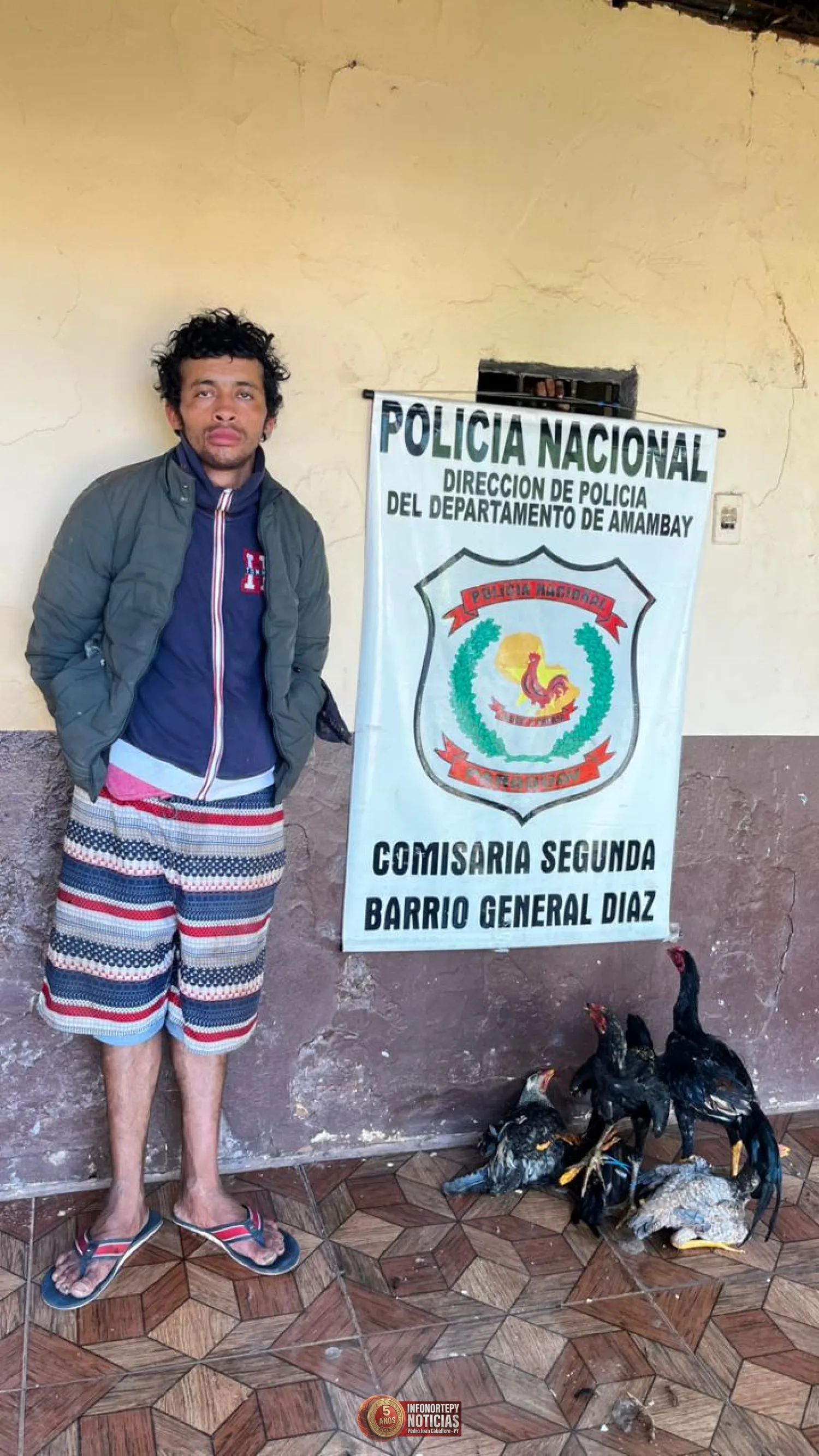 Recuperan gallinas hurtadas y aprehenden a presunto autor en Pedro Juan