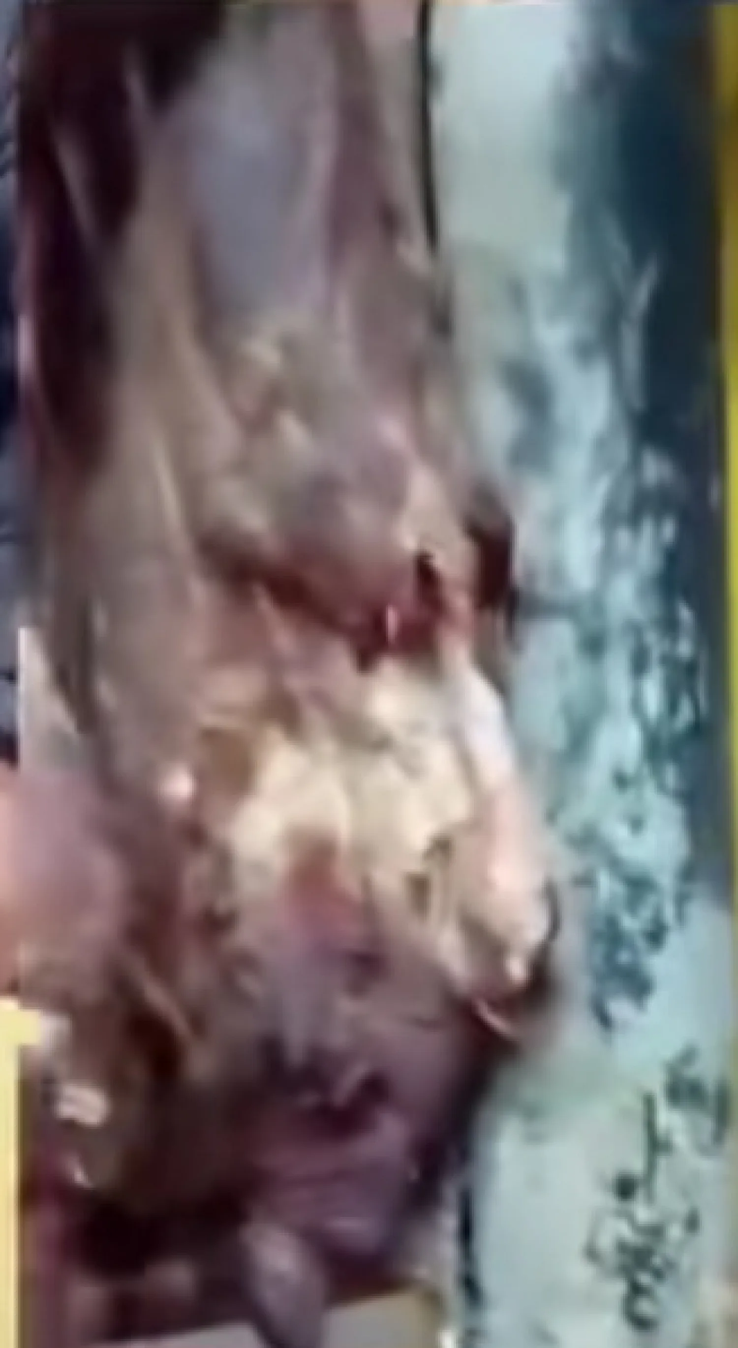 Denuncian supuesta venta de carne en mal estado en Maxi Hipermercado de Pedro Juan