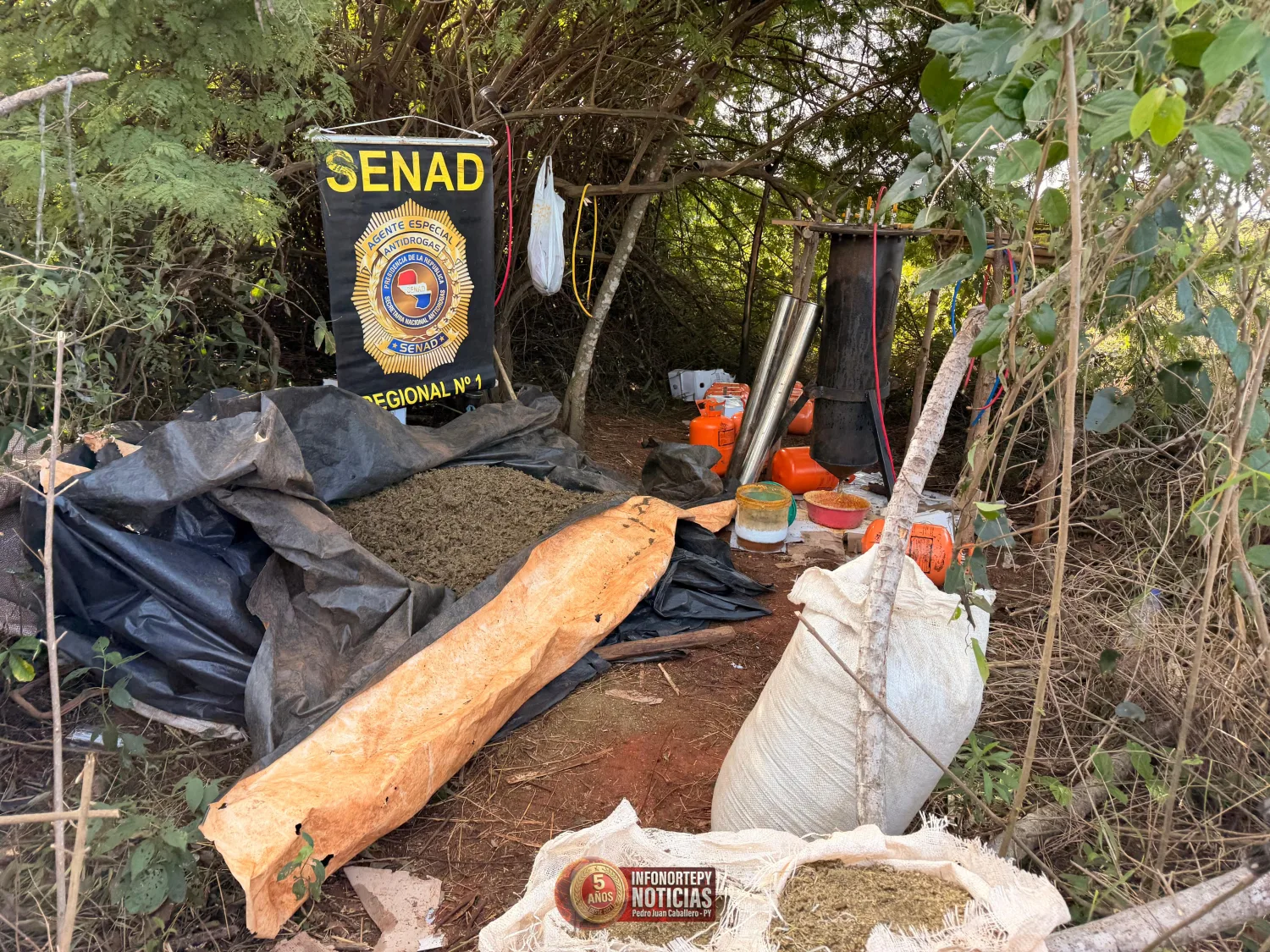 SENAD desmantela megaestructura narco con laboratorios de marihuana “ice” y hachís en Karapaí