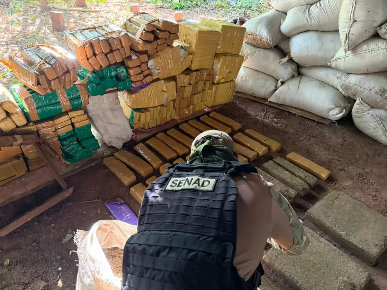 SENAD desmantela centro de acopio de marihuana en Bella Vista Norte y saca de circulación 1.720 kilos de droga