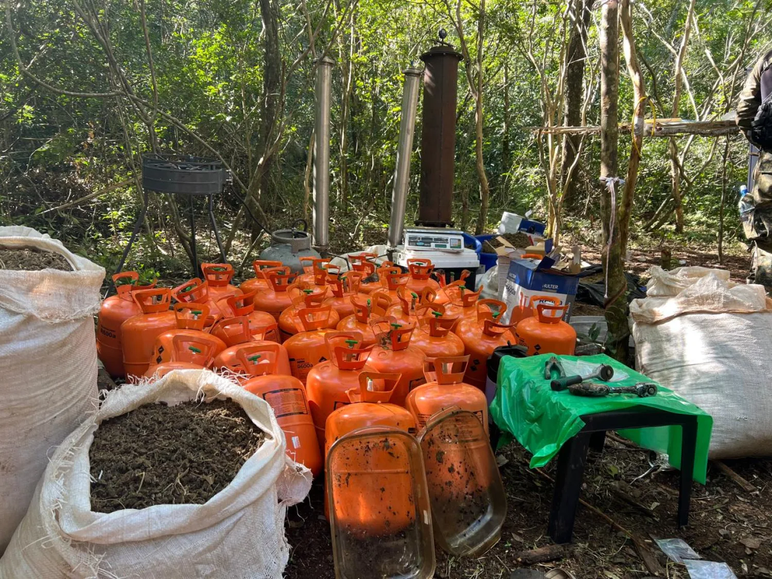 Desmantelan laboratorio de extracción de resina de cannabis en Capitán Bado y destruyen importante cargamento de drogas