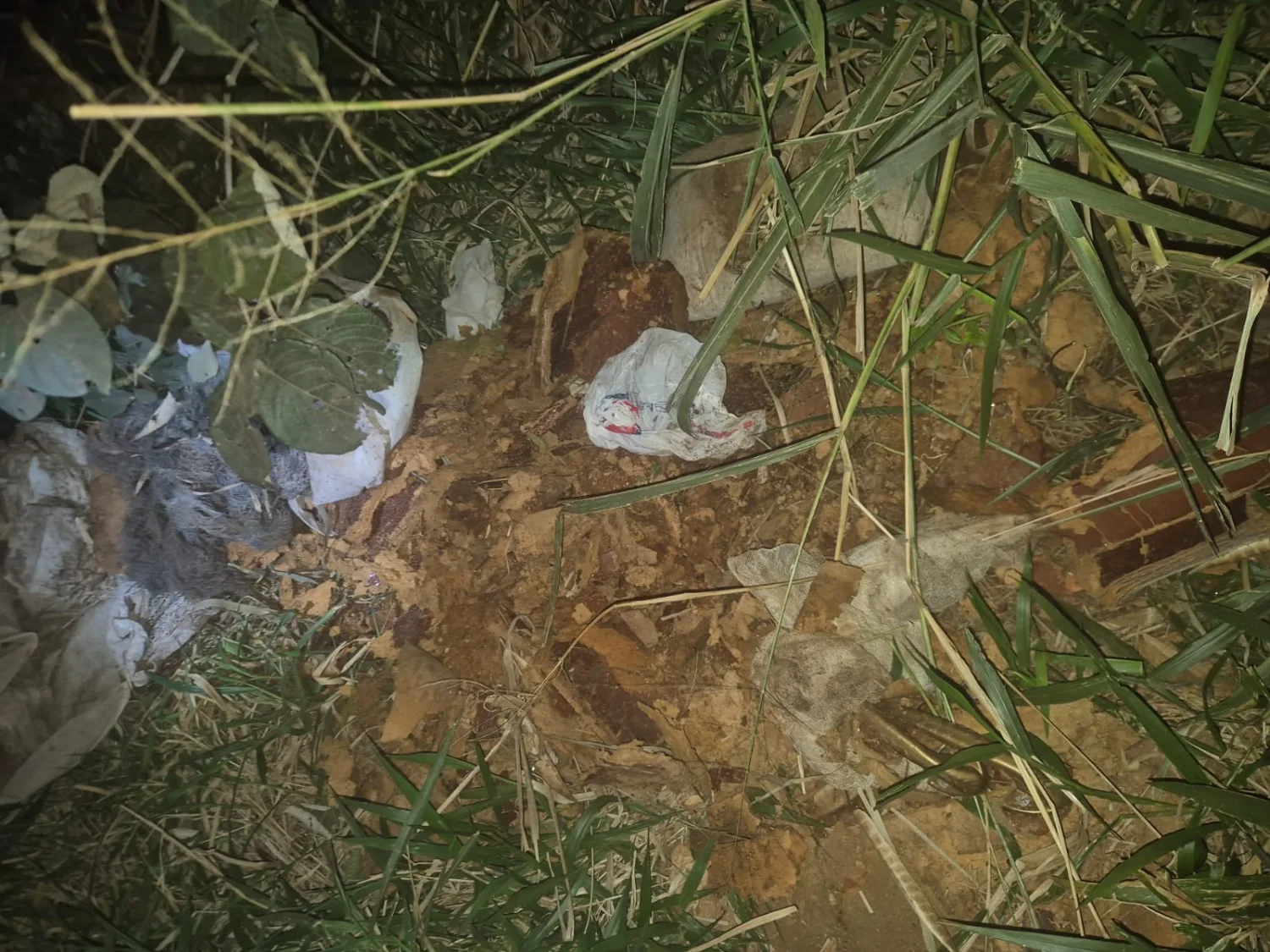 Hallan restos óseos y partes de un ataúd esparcidos en un asentamiento de Pedro Juan