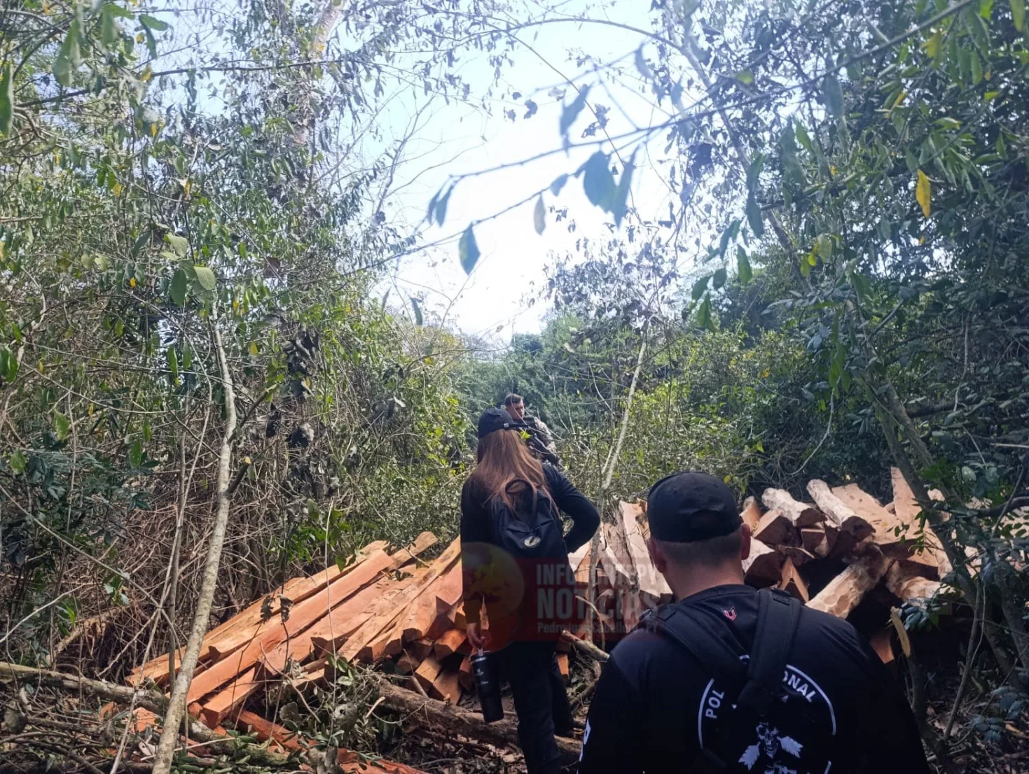 Tres hombres son aprehendidos por presuntos delitos ambientales y tala ilegal en Bella Vista Norte