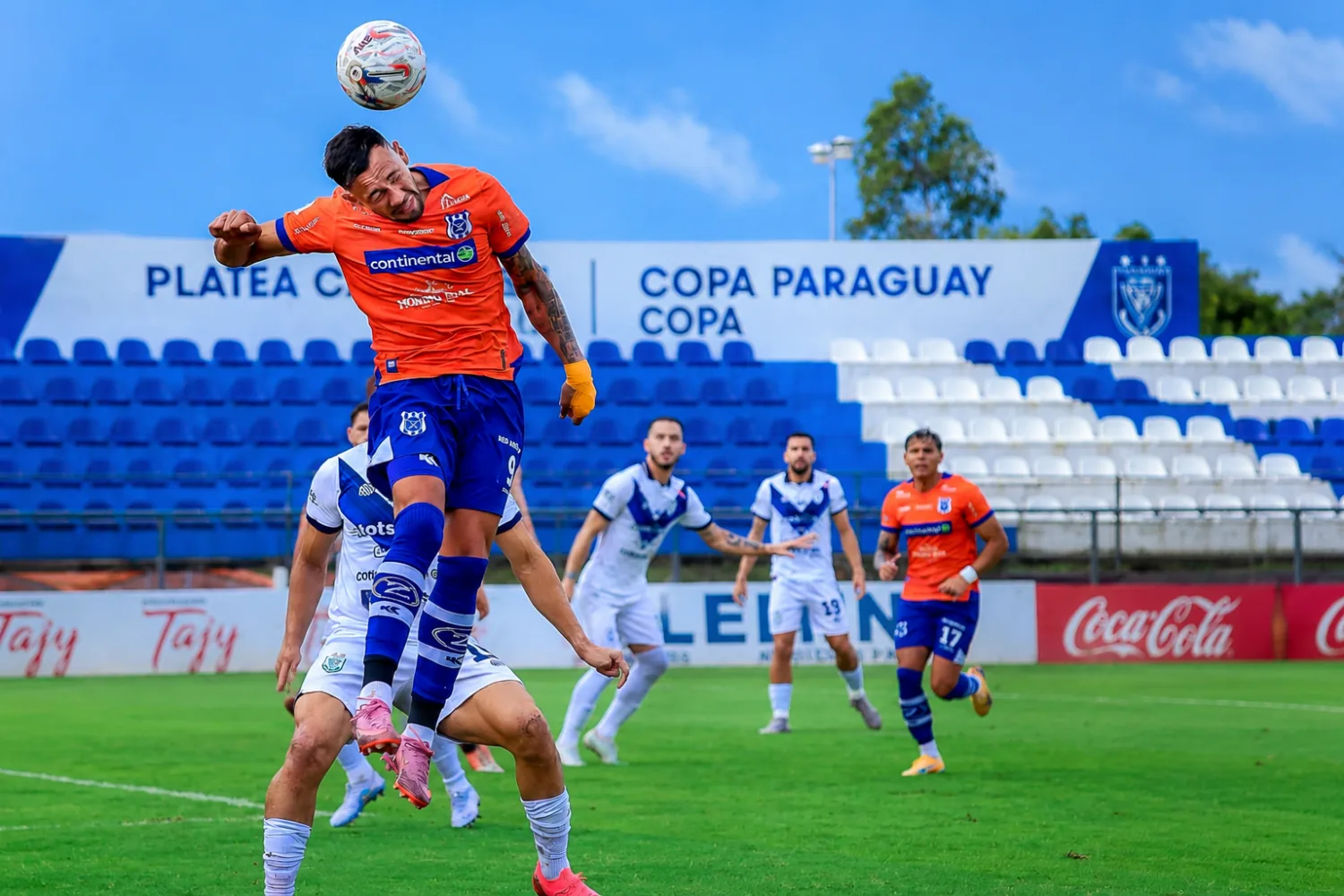 El Gallo sigue en la cima y ya se prepara para recibir a Olimpia en Pedro Juan