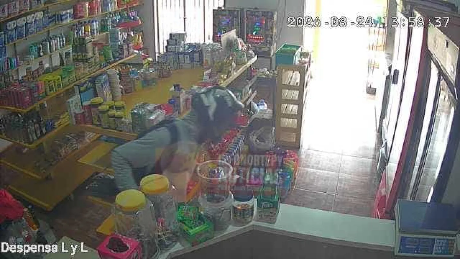 Asaltante armado se lleva dinero y un celular de una despensa en Pedro Juan