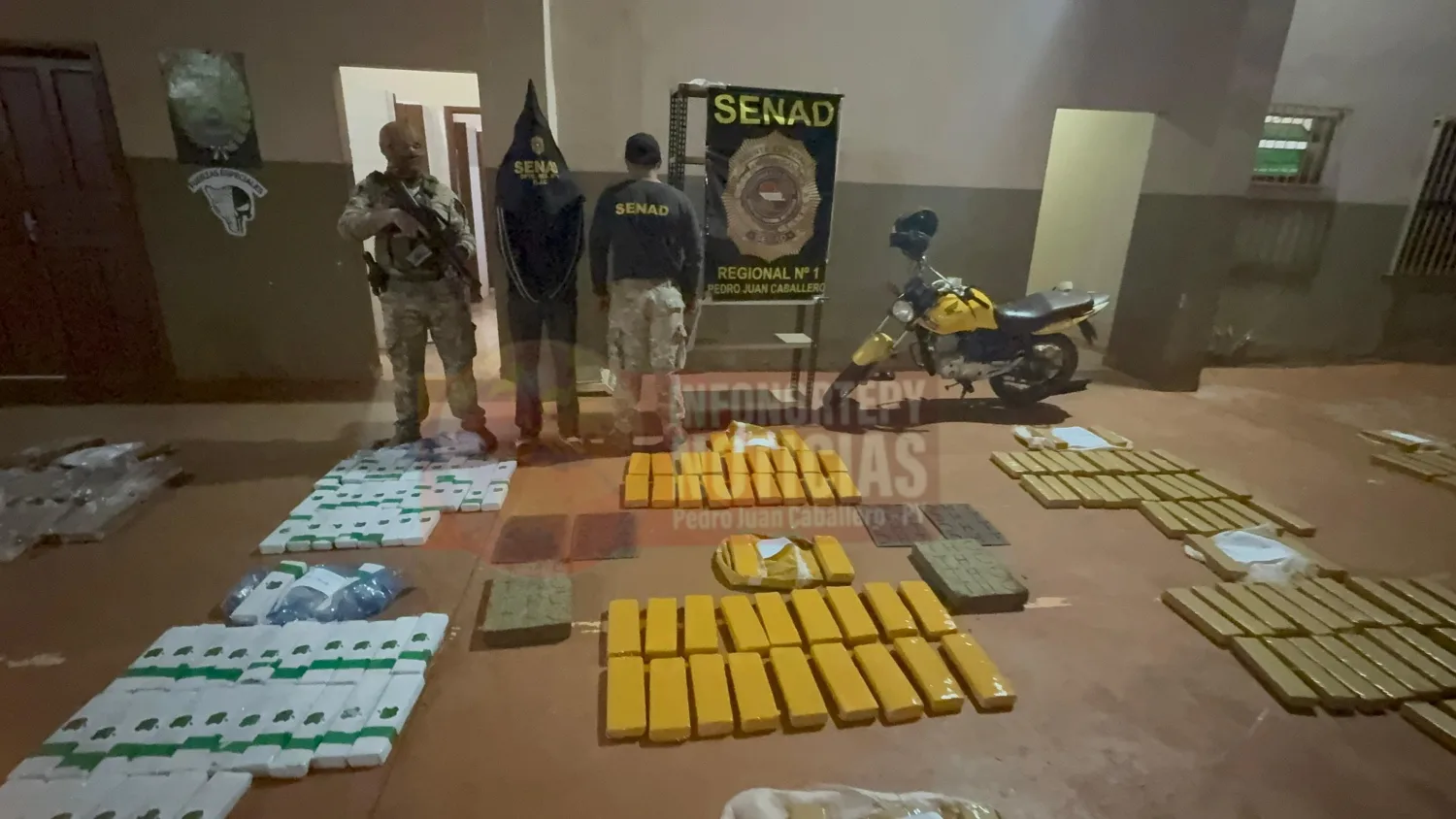 SENAD incauta 751 kilos de marihuana y destruye más de cinco toneladas en Capitán Bado