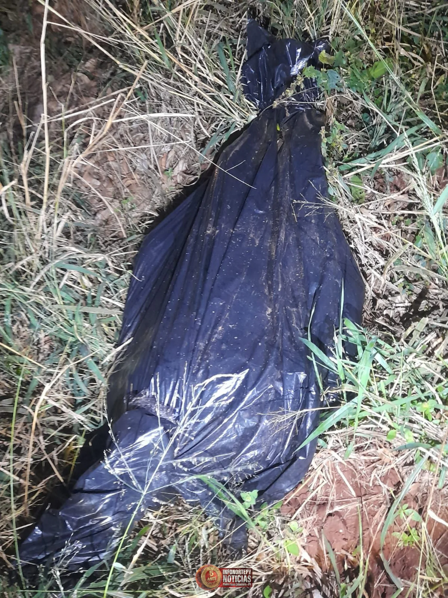 Hallan cadáver en zona boscosa de la colonia Virgen de Caacupé y buscan determinar su identidad