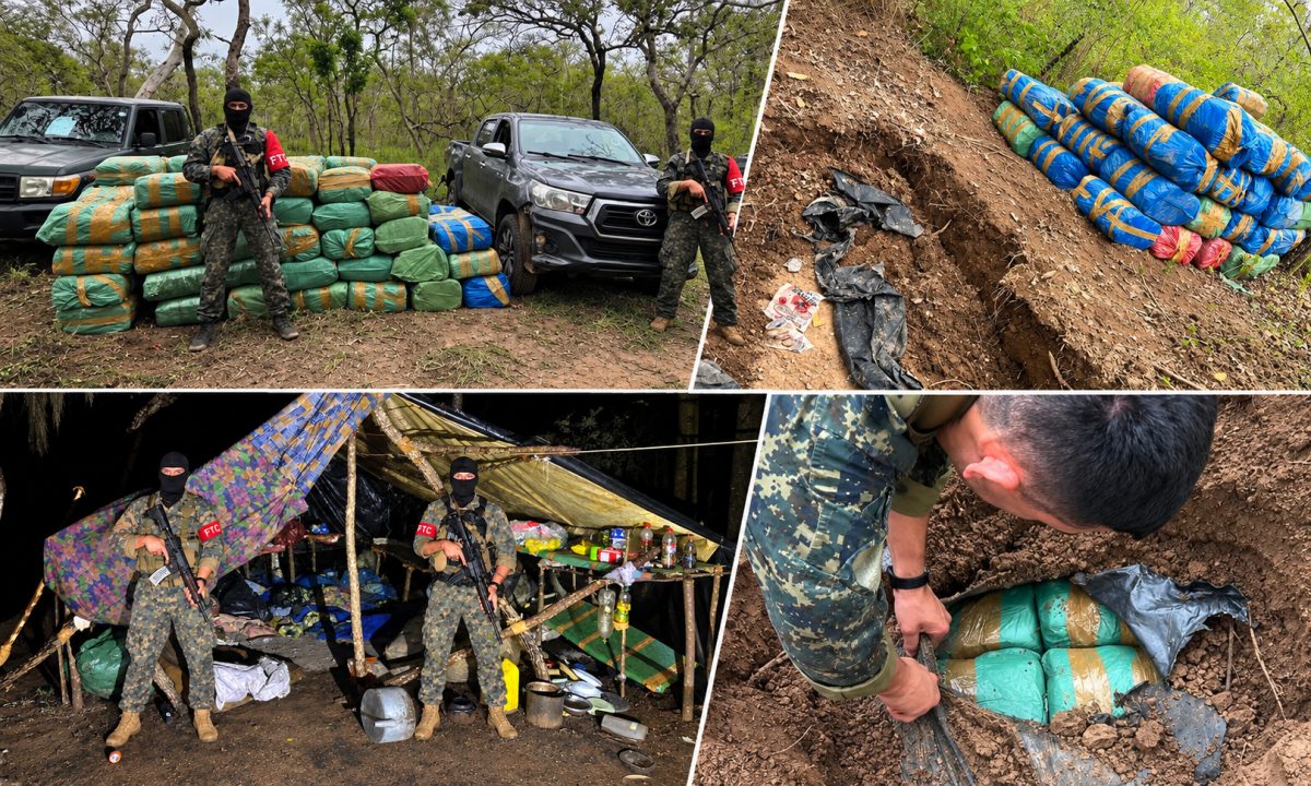 FTC localiza millonario cargamento de marihuana enterrado en el Parque Nacional Paso Bravo