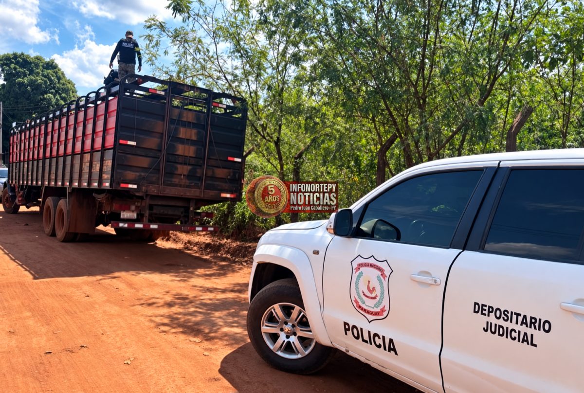 Incautan 20 cabezas de ganado y un camión por irregularidades en documentación en Pedro Juan
