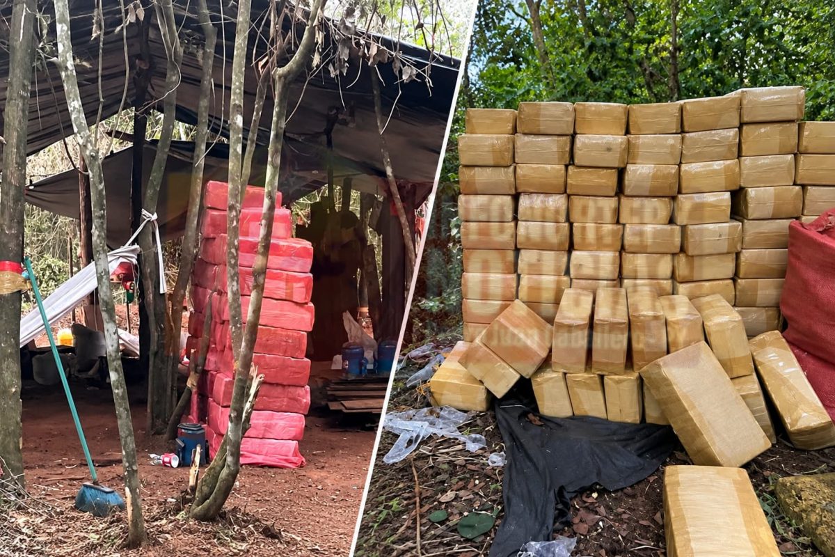 Incautan marihuana prensada y picada en campamento clandestino en Karapaí