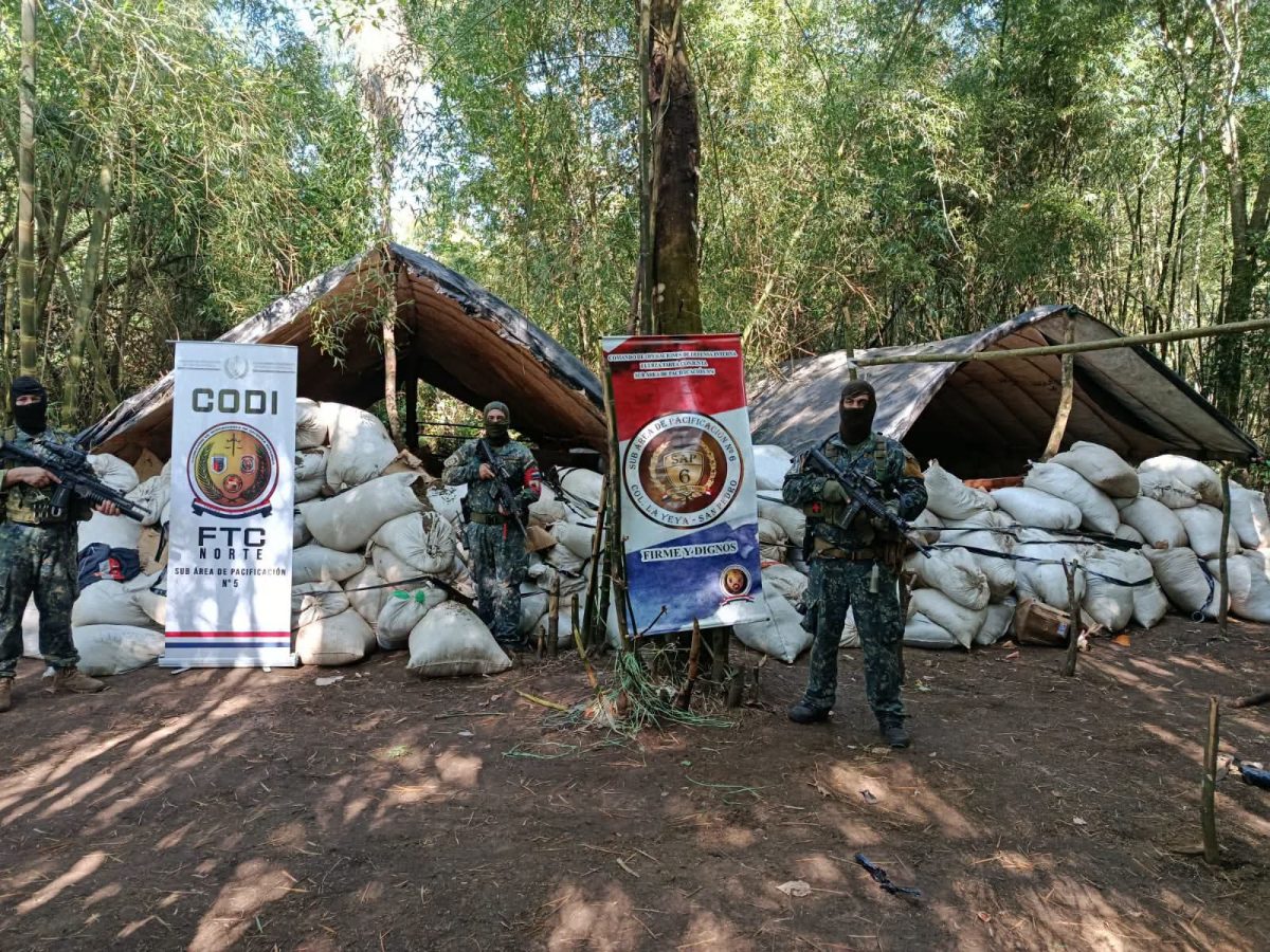 Destruyen más de 16 toneladas de marihuana en centro de acopio detectado en Capitán Bado