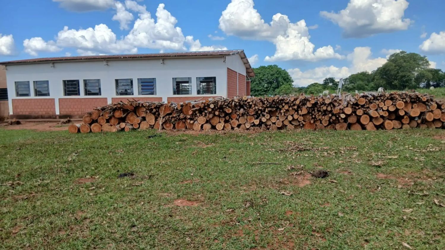 Indígenas denuncian tala masiva en territorio ancestral en Amambay